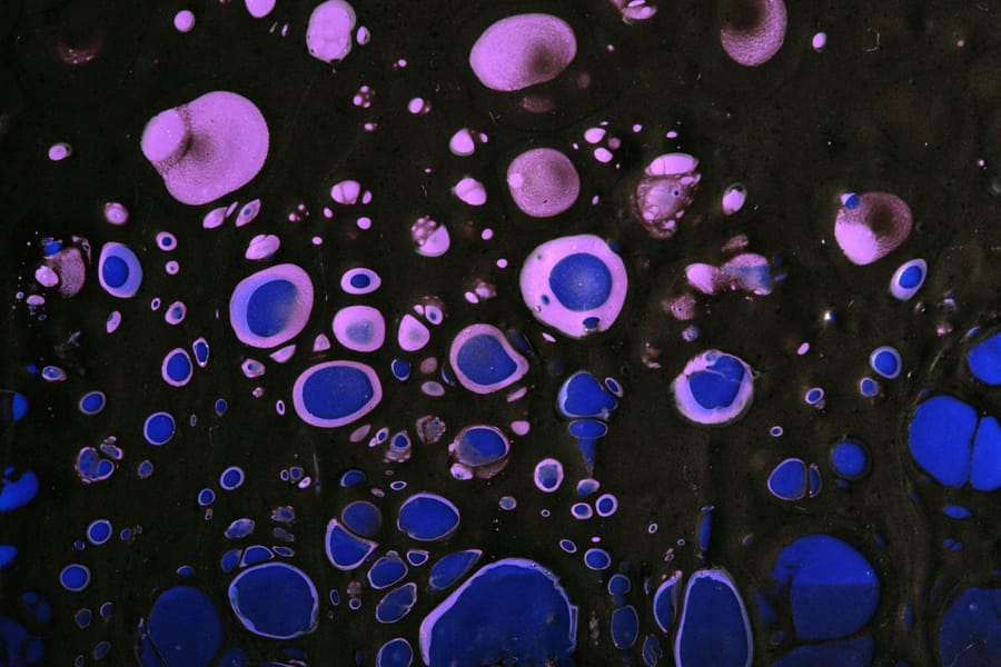 Prompt-Based Hamster Ovary Cell Segmentation with OpenAI o4-mini-high on Microscopy Images